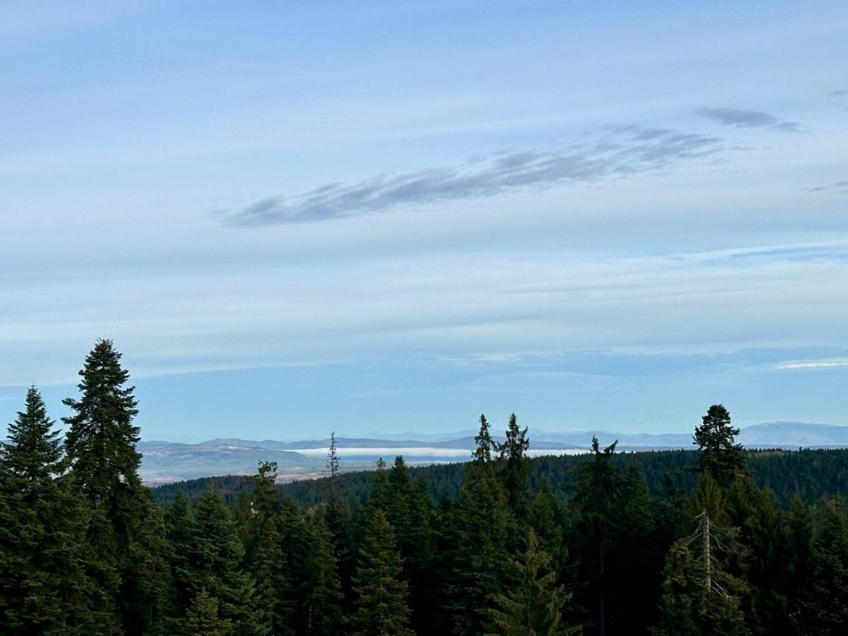 Sana Ski Apartment 702 In Flora, Borovets Eksteriør bilde